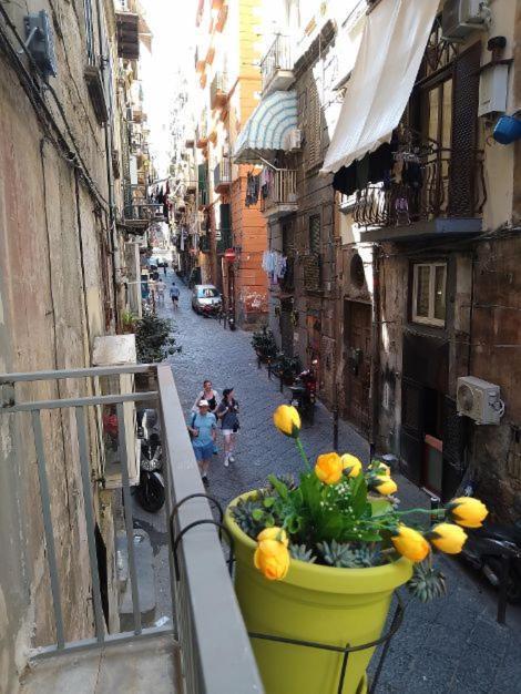 La Conchiglia Napoli Apartment Luaran gambar