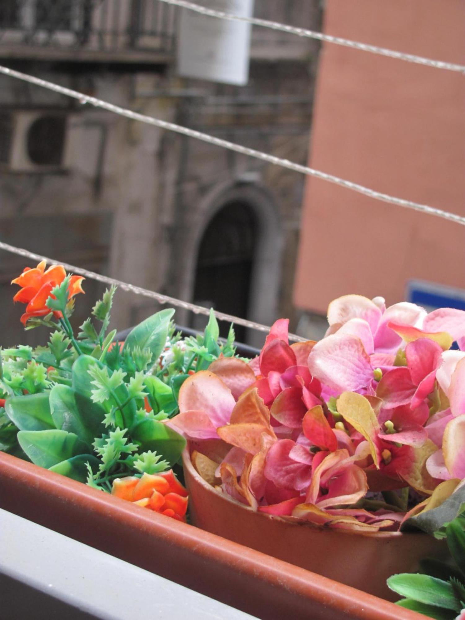 La Conchiglia Napoli Apartment Luaran gambar